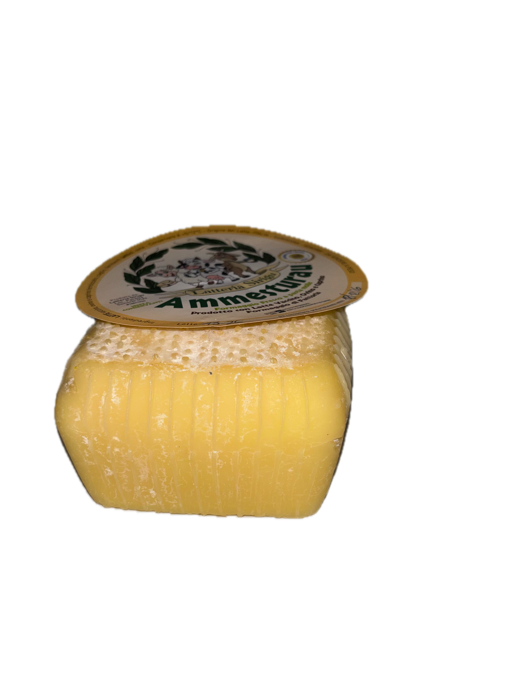AMMESTURAU